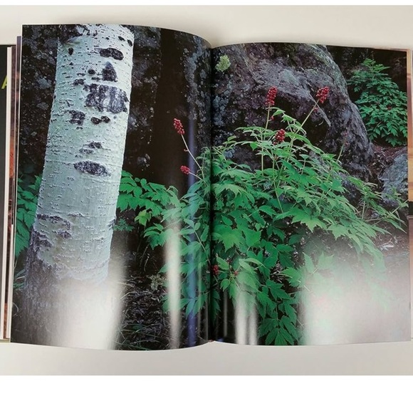 The Mountains Know Arizona Book by Houk Collier - Picture 2 of 4